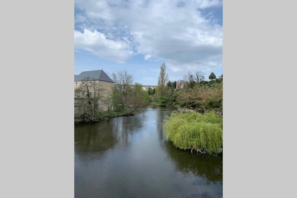 Long Meadow Gite France Asnieres-sur-Blour Extérieur photo